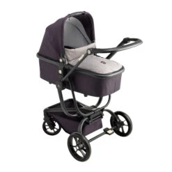 Nacelle Lyra Oxford De William Kent 1733 -Bébés Fournitures Boutique 01113850 2